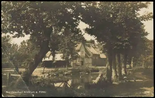 Ansichtskarte Nieblum (Nordseebad) Ortsansicht, Blick auf ein Wohnhaus 1929