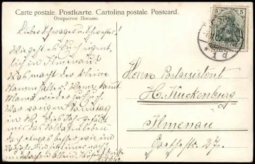 Ansichtskarte  Tiere Künstlerkarte Auerhahn auf Baum 1907