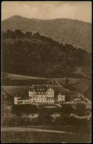 Ansichtskarte Sülzhayn-Ellrich Panorama-Ansicht mit Haus Sonnenfels 1924