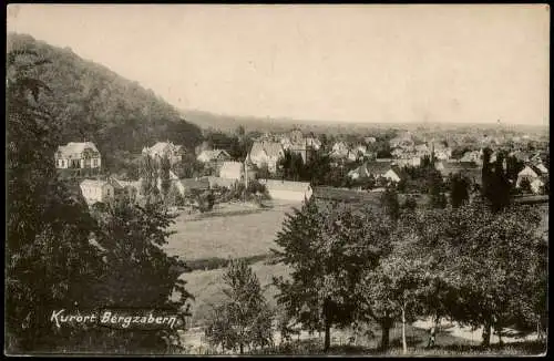 Ansichtskarte Bergzabern Panorama-Ansicht 1919
