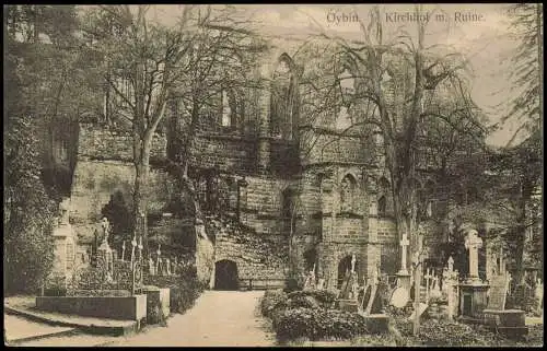 Ansichtskarte Oybin Berg Oybin Kirchhof mit Ruine 1910