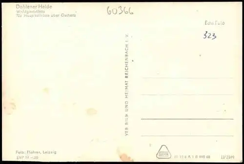 Dahlen Dahlener Heide Waldgaststätte Hospitalhütte über Oschatz 1968