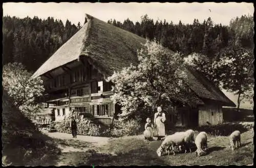 .Baden-Württemberg Altes Schwarzwaldhaus  1966  Zuschlags-Jugendmarke