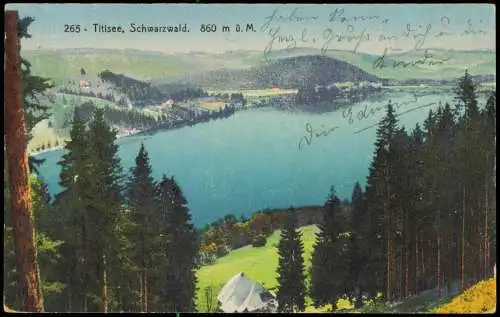 Ansichtskarte Titisee Panorama-Ansicht, See im Schwarzwald 1925