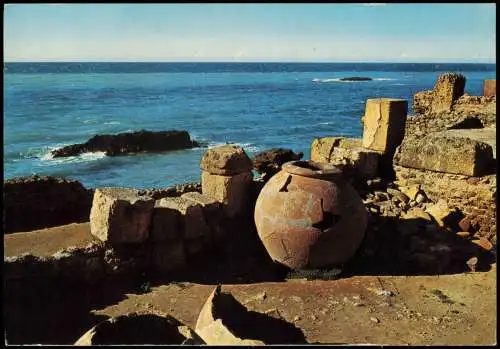 Postcard Tipasa تيبازة Tipaza Ruines Romaines 1974  Algeria Algerien