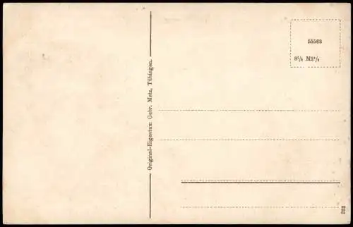 Ansichtskarte Stuttgart Blick auf die Stadt - Text 1917