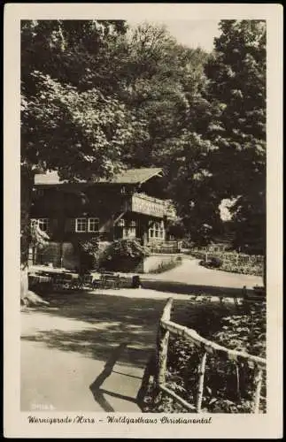 Ansichtskarte Wernigerode Waldgasthaus Christianental 1954