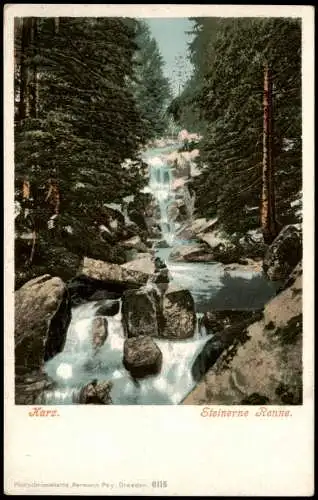 Ansichtskarte Wernigerode Steinerne Renne (Wasserfall Harz, Waterfall) 1900