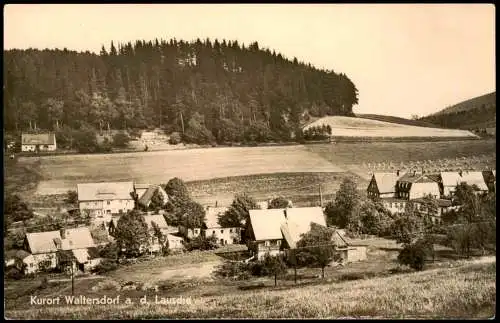 Waltersdorf-Großschönau (Sachsen) Stadtpartie mit Lausche Oberlausitz 1960