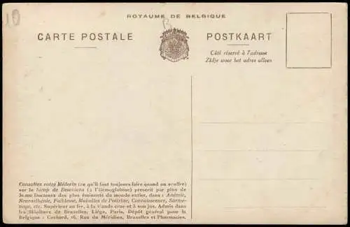 S. E. Mgr LE CARDINAL MERCIER Portrait Geistliche - Kirche Religion 1914