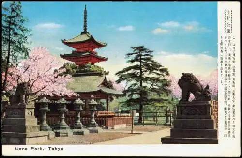 Postcard Tokio Tōkyō (東京) Ueno Park. Japan Nippon 1962