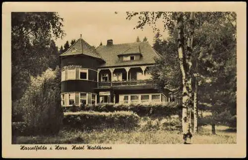 Ansichtskarte Hasselfelde Harz Hotel Waldkrone 1955