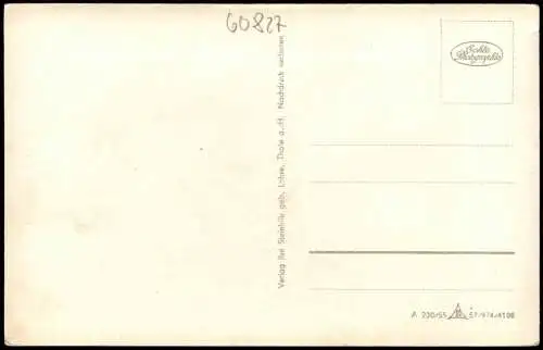 Ansichtskarte Hasselfelde Harz Hotel Waldkrone 1955