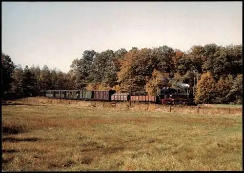 Cunnertswalde Schmalspurdampflokomotive 99 1561 mit GmP 1986/2005