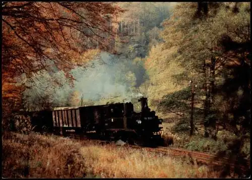 Jöhstadt (Erzgebirge) Lokomotive 991585 Schmalspurbahn Schmiedeberg 1979/2005