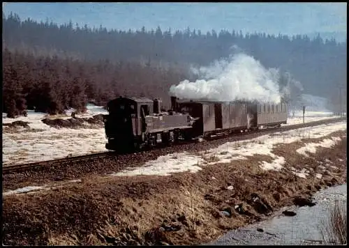 Jöhstadt (Erzgebirge) Schmalspurbahn Lokomotive 991582   Schlössel 1980/2005