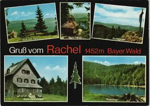 Spiegelau Bay. Wald Rachel, Rachelkapelle Rachelgipfel Blick vom Gipfel 1970