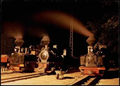 .Sachsen Schmalspurbahn Waldeisenbahn Muskau nächtliche Lokparade 1995