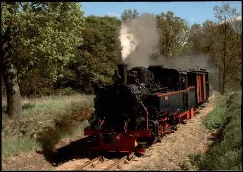 .Brandenburg Pollo-Museumsbahn Lokomotive Aquarius bei Klenzenhof 2010