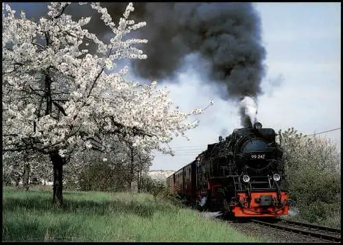 Alexisbad-Harzgerode Selketalbahn 99 247 (Bj. 1956/Babelsberg) 1995