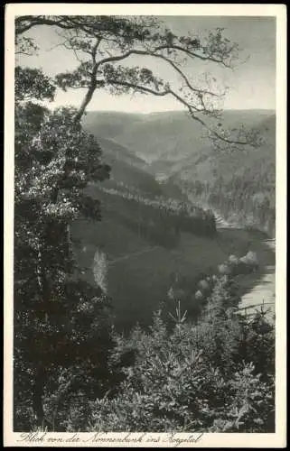 Ansichtskarte Zorge Blick von der Nonnenbank 1928
