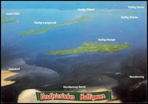 Ansichtskarte  Nordfriesisches Halligmeer v. Flugzeug aus 1993