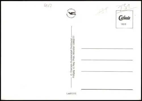 Ansichtskarte  Nordfriesisches Halligmeer v. Flugzeug aus 1993