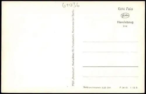Ansichtskarte Lückendorf-Oybin Das mit Hochwald 1961