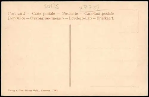 Insel Mainau-Konstanz Ortsansicht mit Männern im Boot a.d. Anlegestelle 1905
