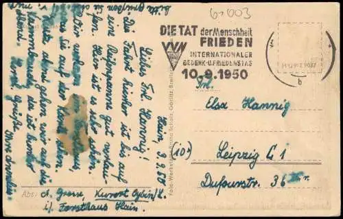 Ansichtskarte Hain-Oybin Hotel und Gaststätte Forsthaus 1950