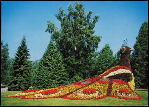 Ansichtskarte Mainau Blumenpfau im Kinderland 1990