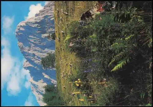 Lot 10 Ansichtskarten Lienz in Osttirol und Umgebung 2000
