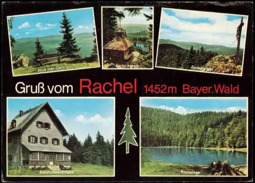 Bay. Wald Rachel, Rachelkapelle Rachelgipfel Blick vom Gipfel 1978