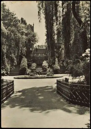 Ansichtskarte Riesa Partie im Stadtpark 1965