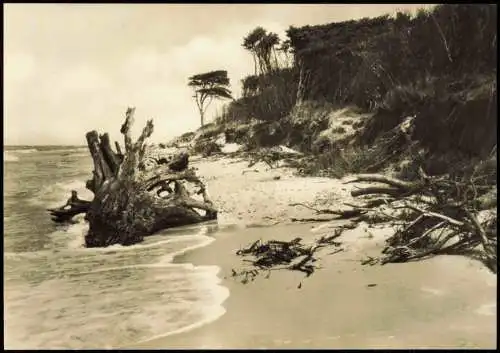 .Mecklenburg-Vorpommern Ostsee Baltic Sea Küste bei Esperort zur DDR-Zeit 1970