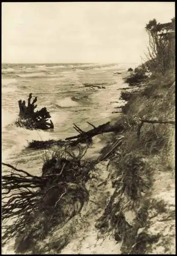 .Mecklenburg-Vorpommern Ostsee Baltic Sea zur DDR-Zeit Küste bei Sturm 1970