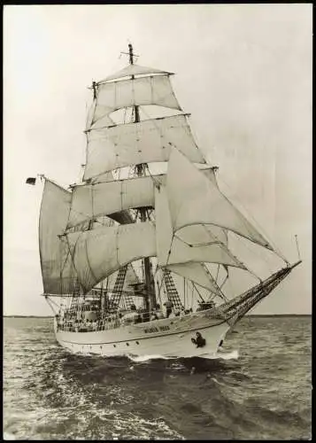 Ansichtskarte  Segelschiff Segelschulschiff Wilhelm Pieck 1981