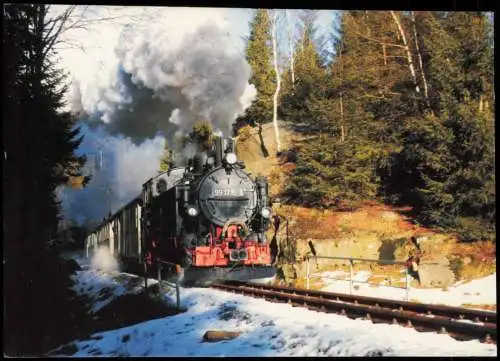 Schmalspurdampflokomotive als Gastlok auf Preßnitztalbahn 2004