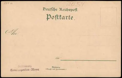 Litho AK Geesthacht Gruss aus... Stadt Bergedorfer Straße Hafen 1897