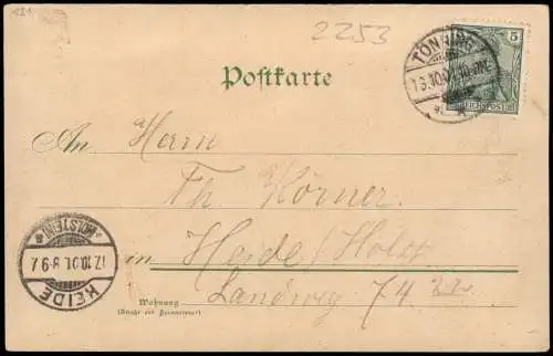 Litho AK Tönning (Amt Eiderstedt) Hafen Markt uvm Gruss aus... 1901