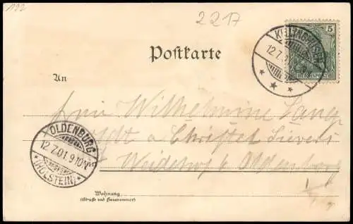 Litho AK Kellinghusen Gruss aus Rosdorf Straße Totale 1901  Lk Steinburg
