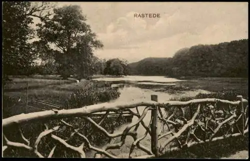 Ansichtskarte Rastede Umlandpartie Holzgitter 1918