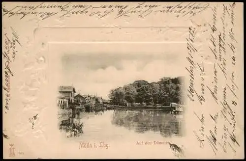 Ansichtskarte Mölln (Schleswig-Holstein) Auf den Dämmen 1902 Prägekarte