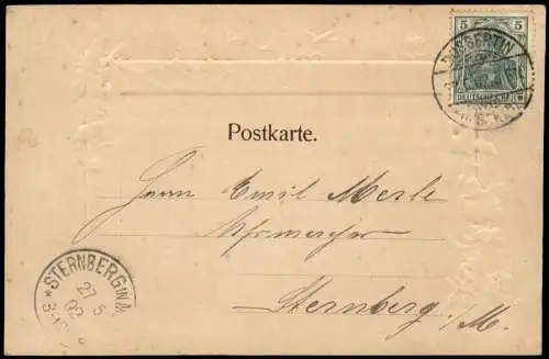 Ansichtskarte Mölln (Schleswig-Holstein) Auf den Dämmen 1902 Prägekarte