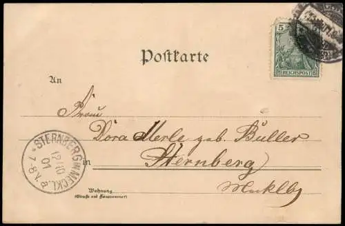 Ansichtskarte Schwerin Pfaffenteich Häuser Künstlerkarte 1901