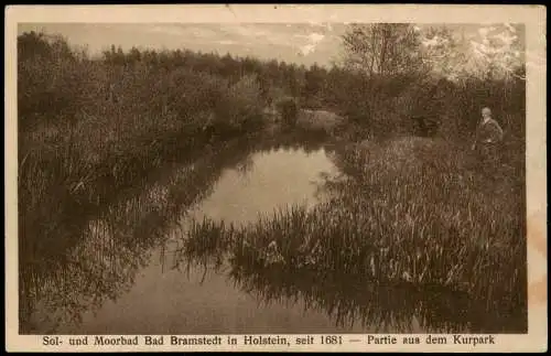 Ansichtskarte Bad Bramstedt Partie aus dem Kurpark 1918