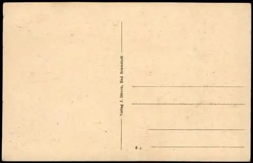 Ansichtskarte Bad Bramstedt Partie aus dem Kurpark 1918