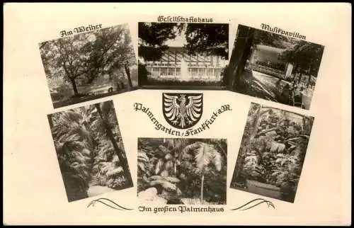 Frankfurt am Main Palmengarten Gesellschaftshaus Musikpavillon 5 Bild 1954