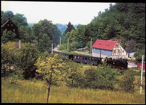 Personenzug 99 1706 Fahrt nach Freital-Potschappel in Oberreinsberg 1970