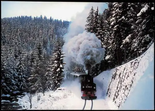 Preßnitztalbahn im Schwarzwassertal zwischen Schmalzgrube und Schlössel 2003
